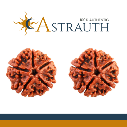 100% Original Nepali Five Faced | 5 Faced | 5 Mukhi Rudraksha | Paanch Mukhi Rudraksha